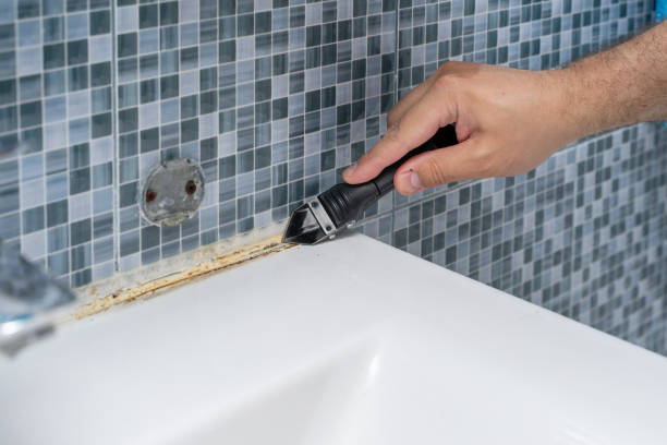 Best Affordable Mold Removal  in Clearfield, UT